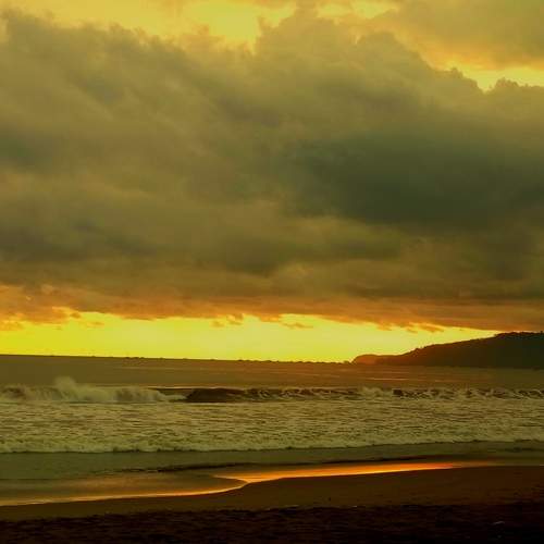 Photo #7547258