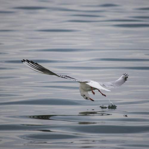 Photo #7547263
