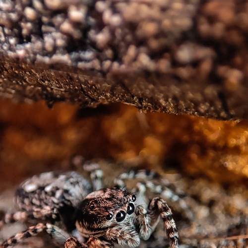 Photo #7547574