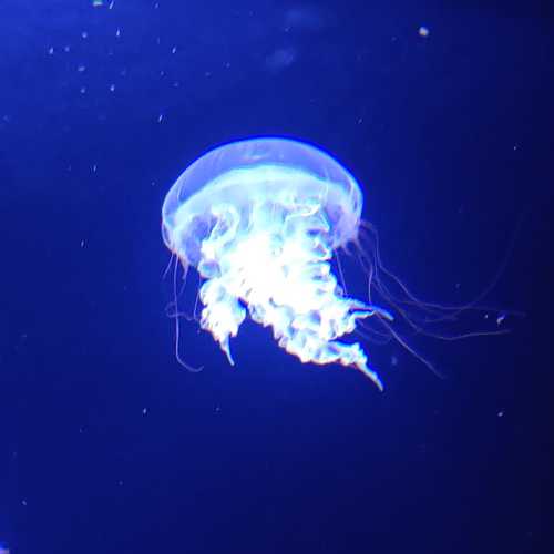 Photo #7547657