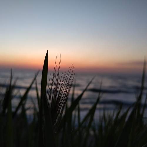 Photo #7547761