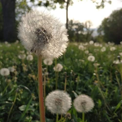 Photo #7547775