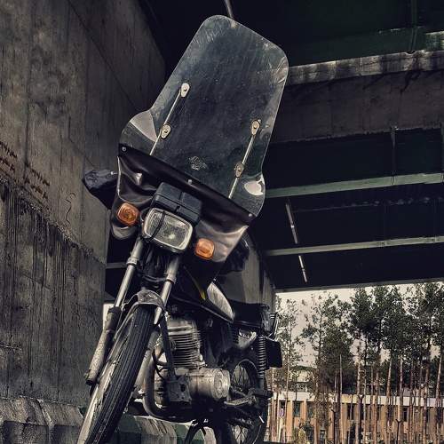 Photo #7547777