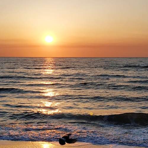 Photo #7547784