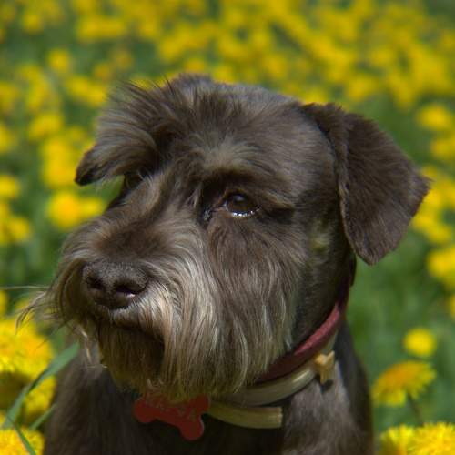 Photo #7548227