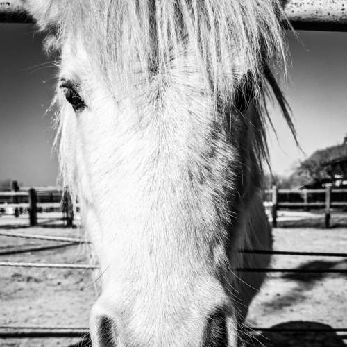 Photo #7548534
