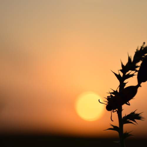 Photo #7548644