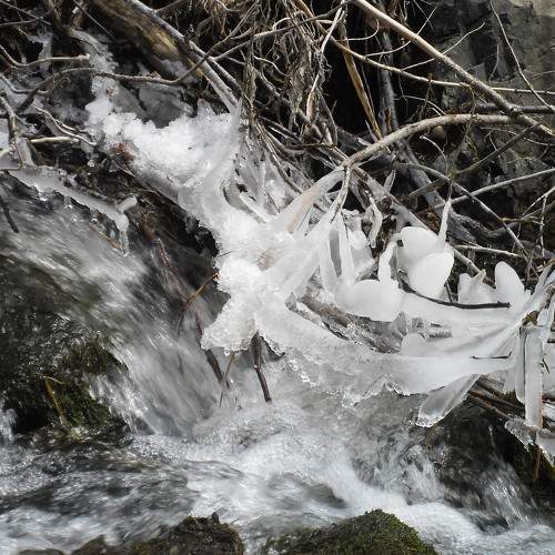Photo #7548872