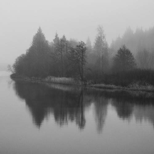 Photo #7549139