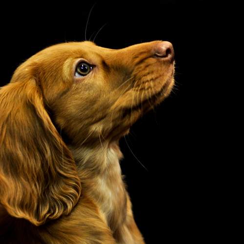 Photo #7549152