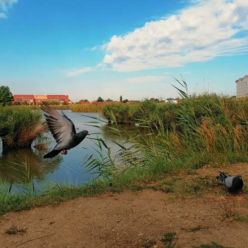 Photo #7549168