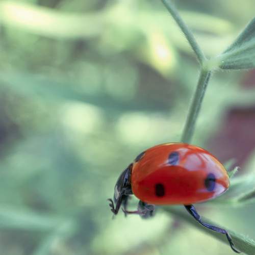 Photo #7549368
