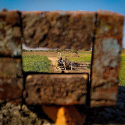 Photo #7549726