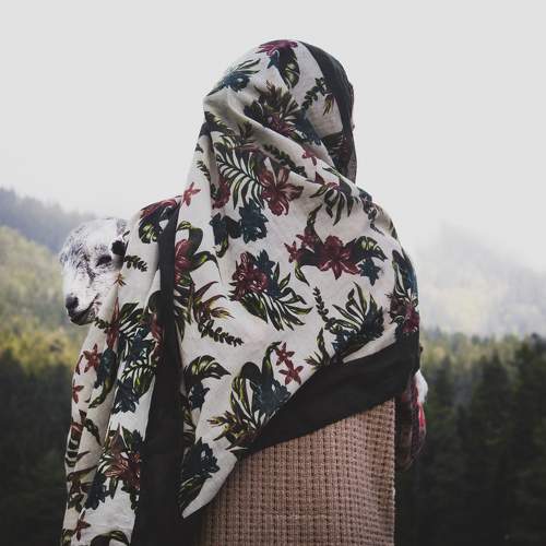Photo #7549911
