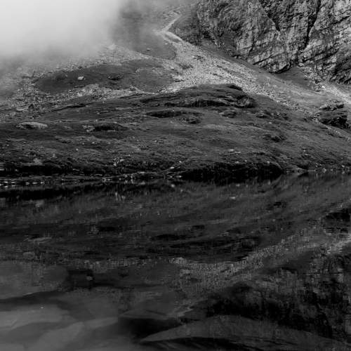 Photo #7550058