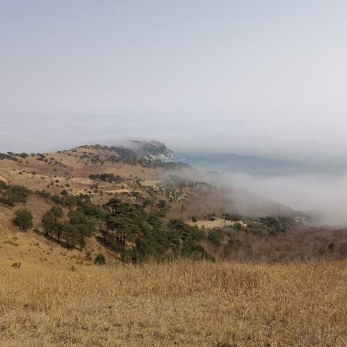 Photo #7550179