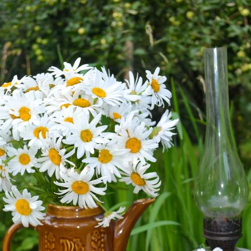Photo #7550452