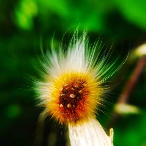 Photo #7550598