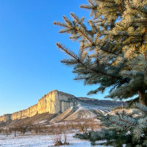 Photo #7550606