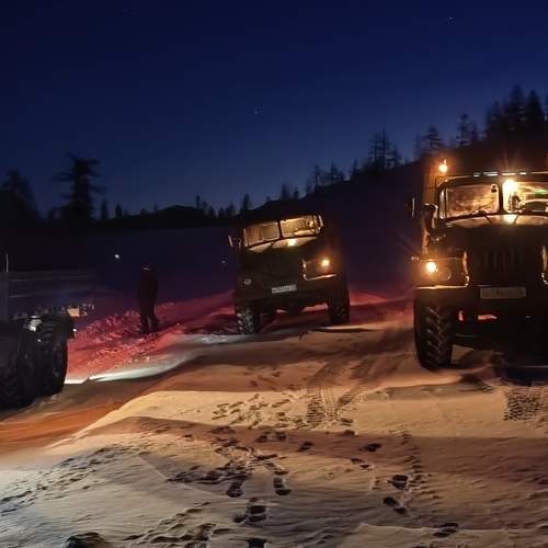 Photo #7550852