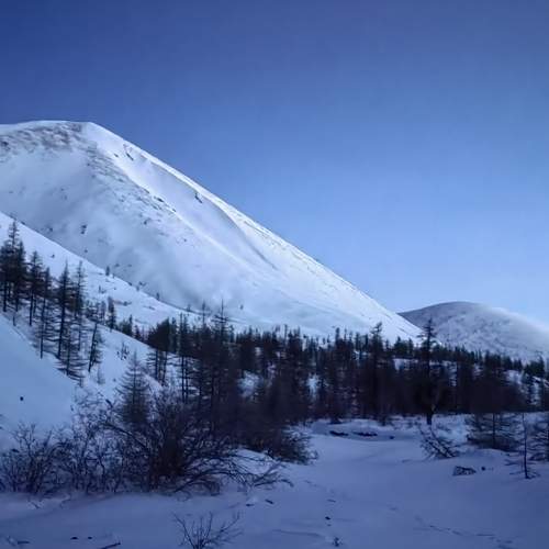 Photo #7550883