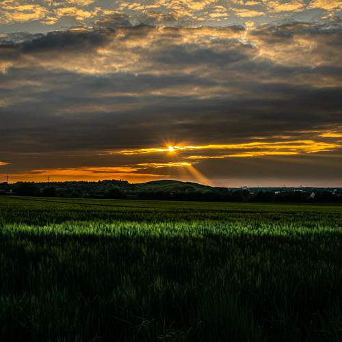 Photo #7550952