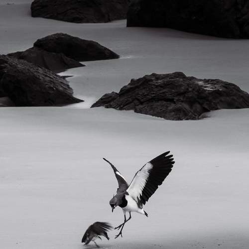 Photo #7551003