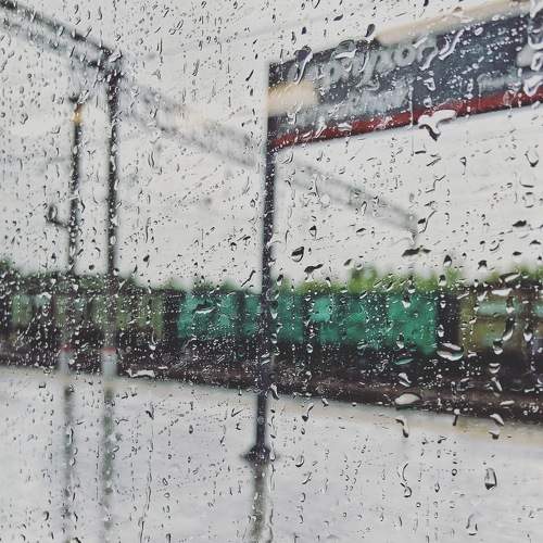 Photo #7551039
