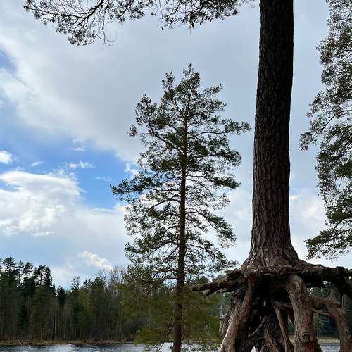 Photo #7551326