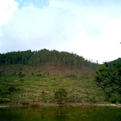 Photo #7551484
