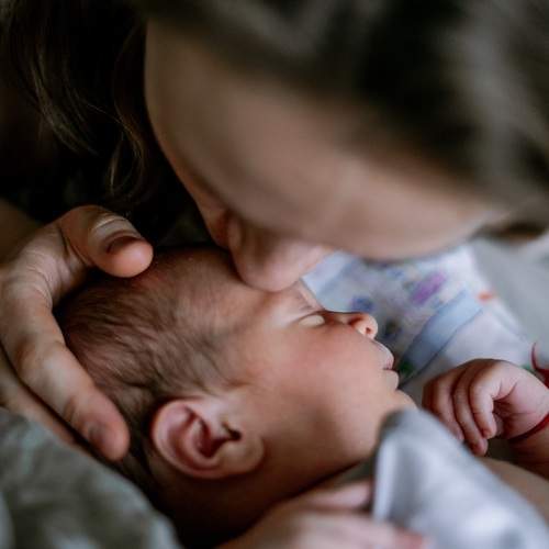 Photo #7551676