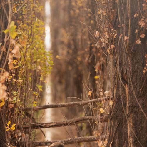 Photo #7551757