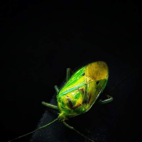 Photo #7551774