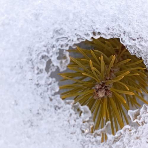 Photo #7551813