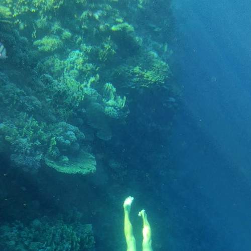 Photo #7551829