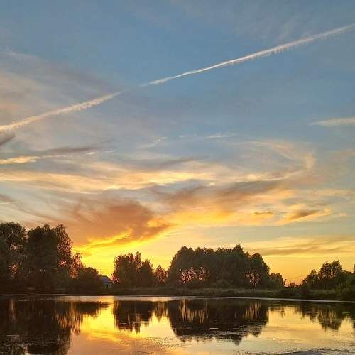 Photo #7551971