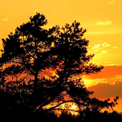 Photo #7552667