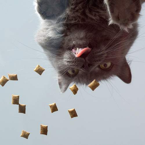 Photo #7552881