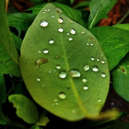 Photo #7553381