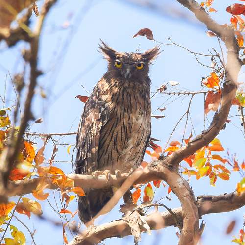 Photo #7553558