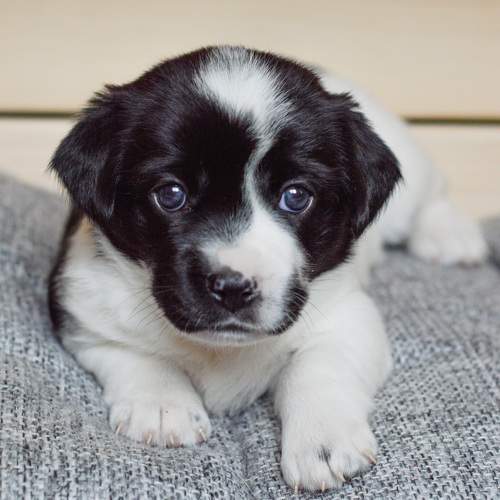 Photo #7553610