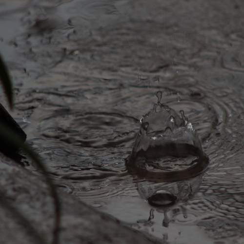Photo #7553961