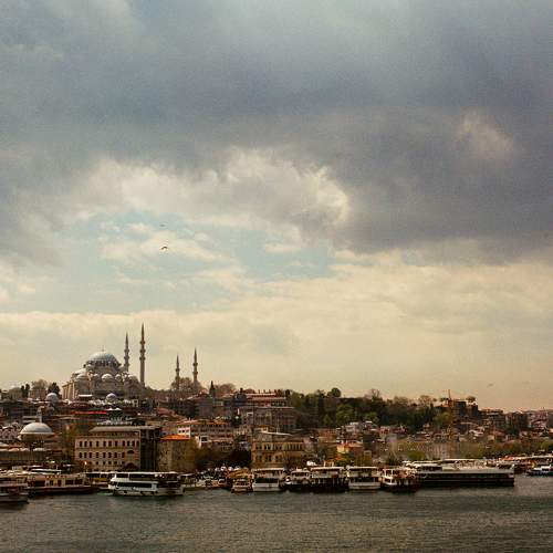 Photo #7554139