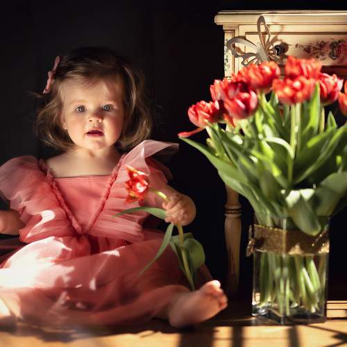 Photo #7554204