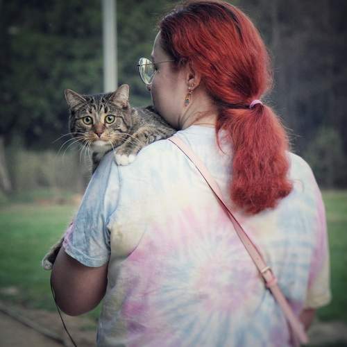 Photo #7554362