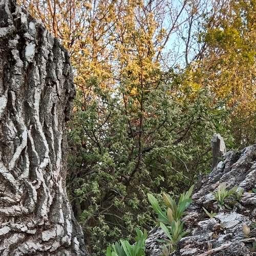 Photo #7554385
