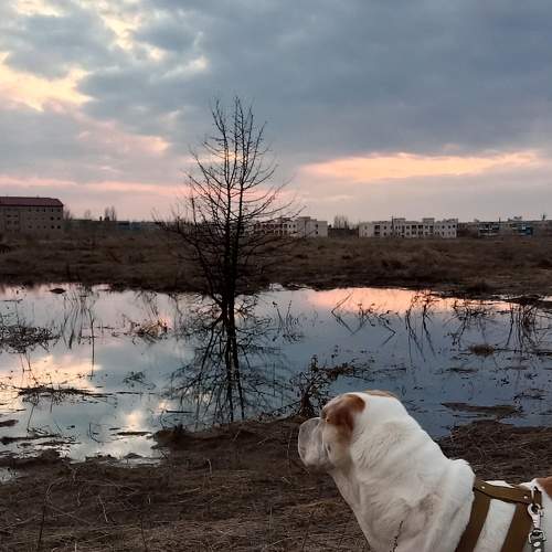 Photo #7554393