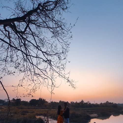 Photo #7554596