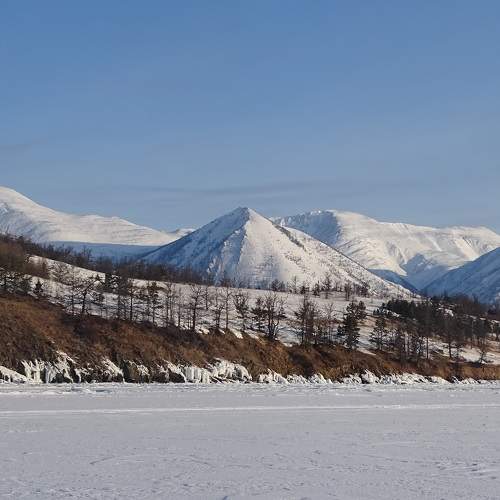 Photo #7554774