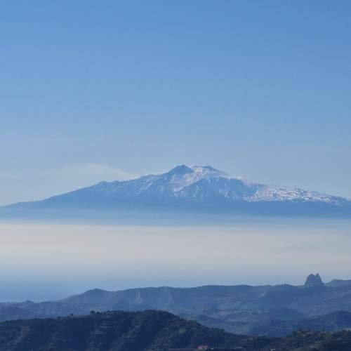 Photo #7554902